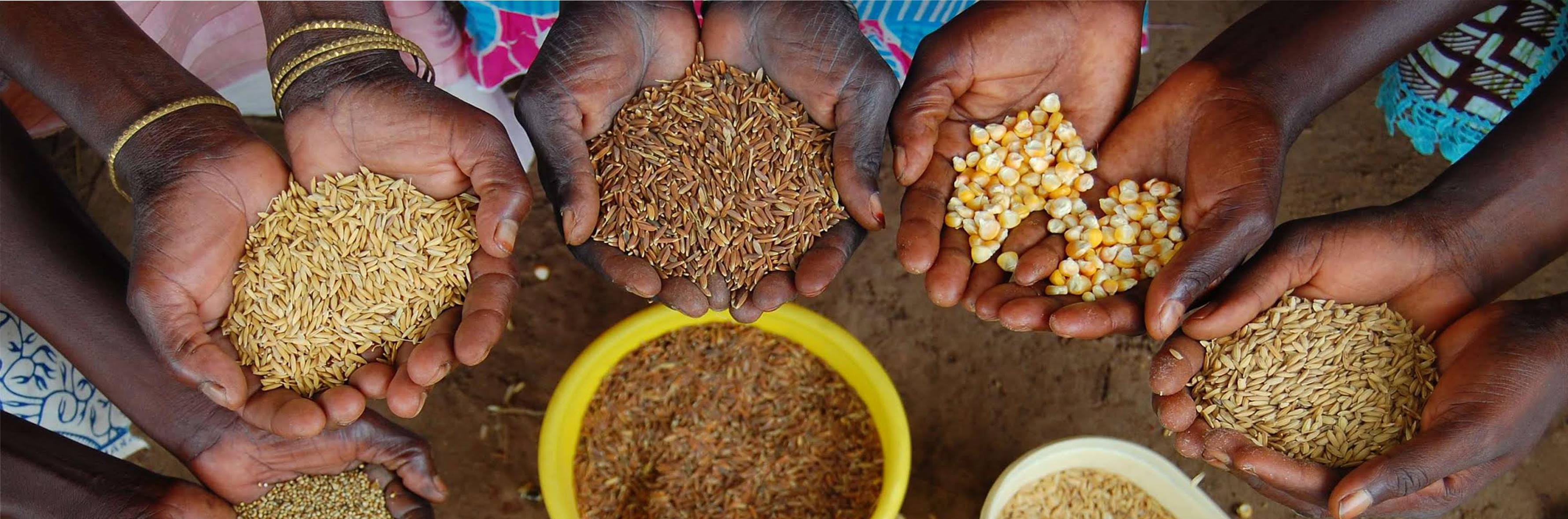 Announcing 2016 Food Sovereignty Prize Honorees