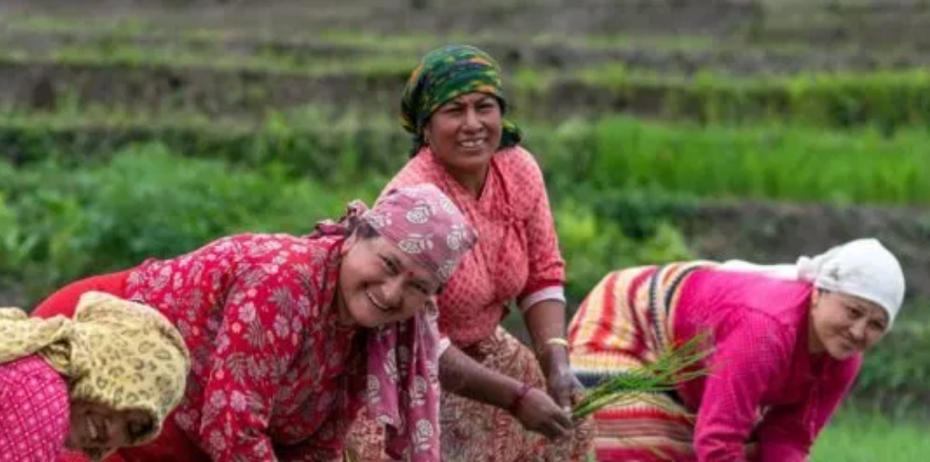 2020 Food Sovereignty Prize – Ceremony on Dec. 9