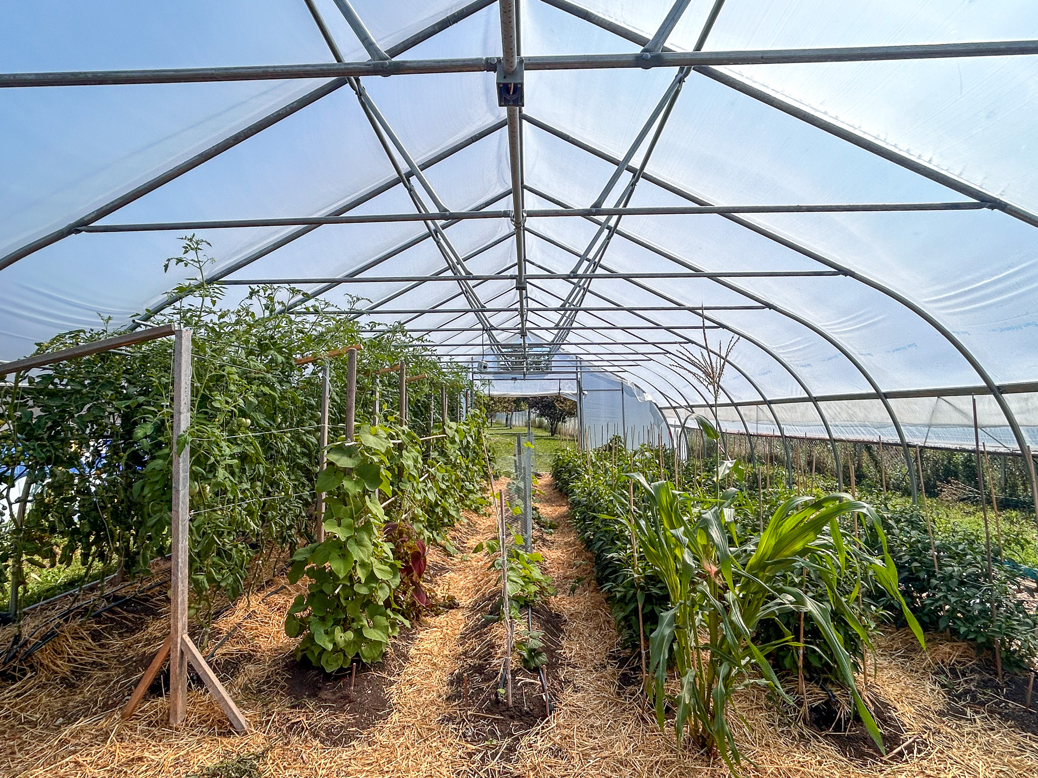16th Annual Food Sovereignty Prize Awarded